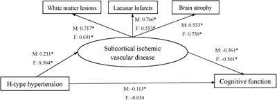 Gender difference in association between H-type hypertension and subcortical ischemic vascular disease